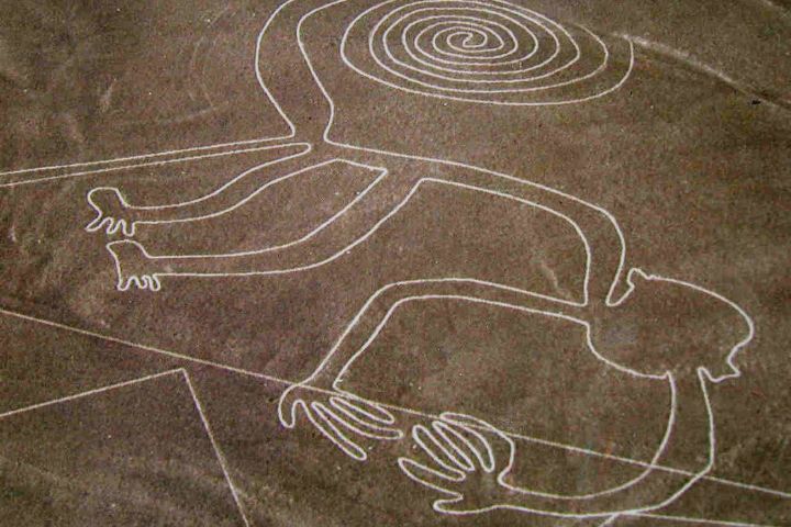 Líneas de Nazca. Mono. Foto: Archivo