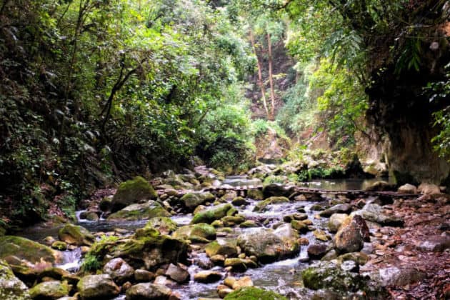 Puente De Dios En Quer Taro Maravilla En La Sierra Gorda El Souvenir