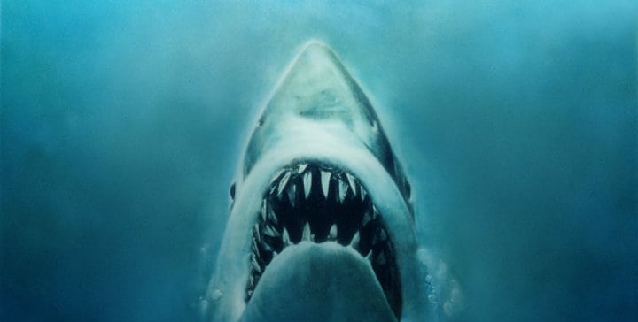 jaws_592x299-7