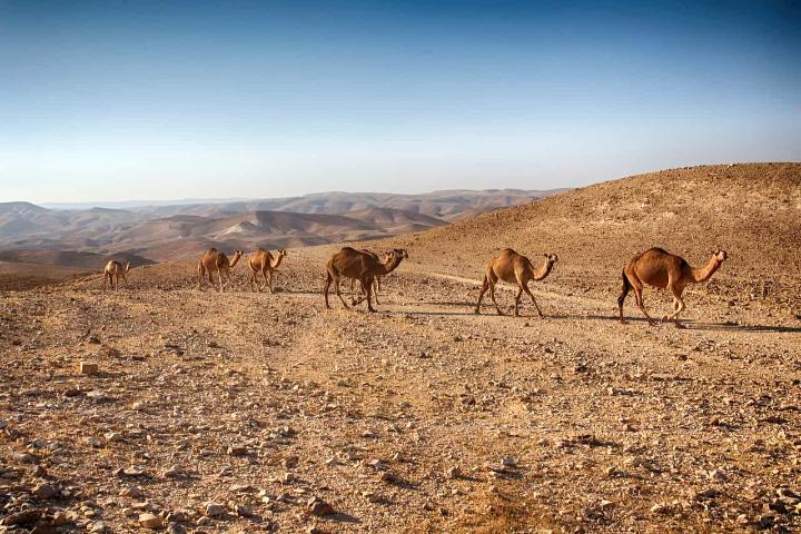 Desierto en Israel. Foto Archivo.