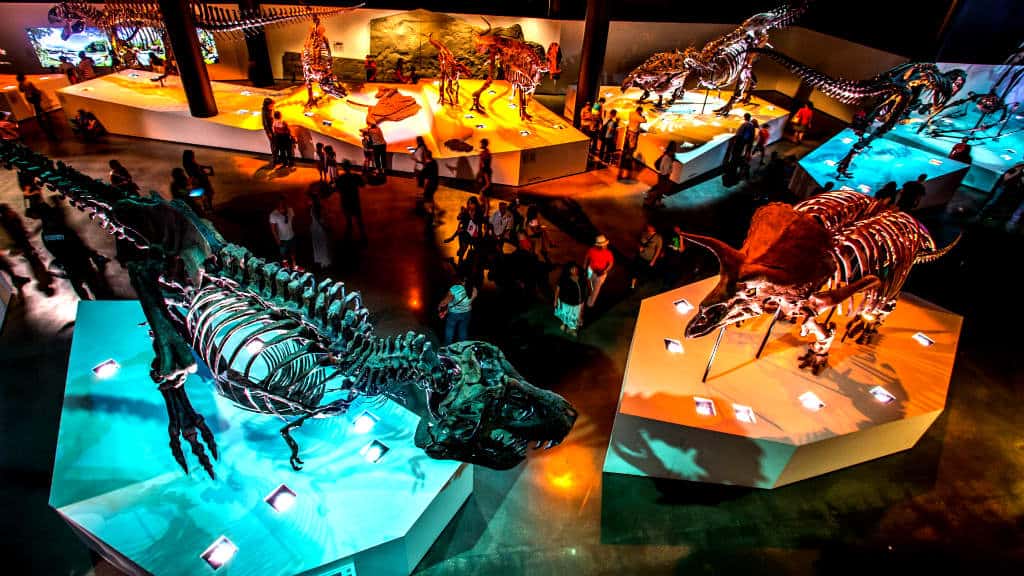 Houston HMNS_DINO_WS_2_102268