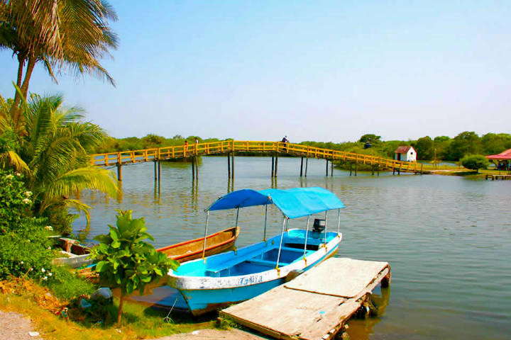 Viaje a la laguna de Mandinga en Veracruz ¡Vamos! | El Souvenir