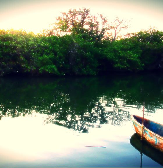 portada Mandinga Veracruz Mi escape Foto Fiveprime