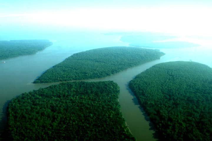 Amazonas Brasil Foto Oboré