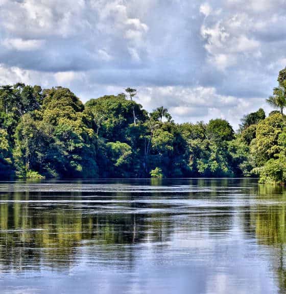 Amazonas Foto Marco Mello