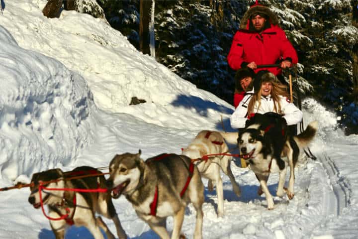 Cosas qué hacer en Whistler Foto Canadian Wilderness