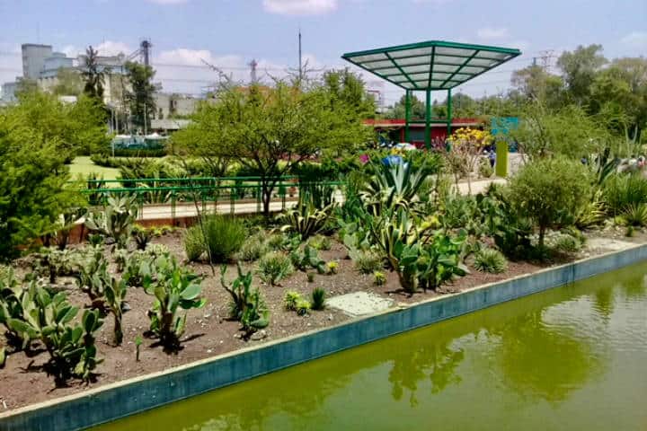 Parque Bicentenario CDMX. Foto Gloria Villanueva