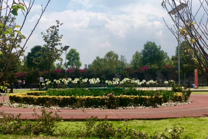 Parque Bicentenario CDMX. Foto Gloria Villanueva