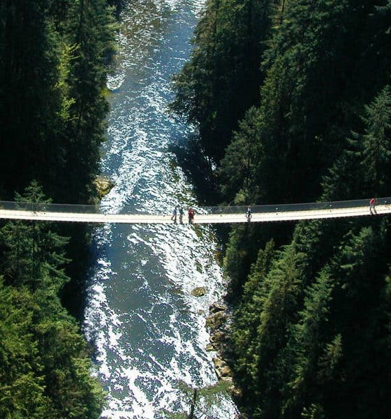 Puente-Capilano-Bridge-Foto-CapBridge