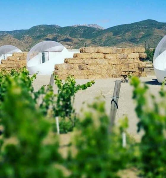Hoteles Valle de Guadalupe Foto Campera Hotel Burbuja 13