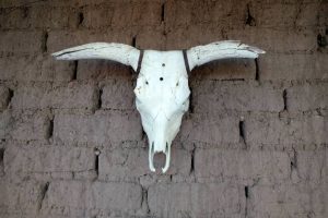 Museo Apache en Chihuahua ¡A que no lo sabías! | El Souvenir