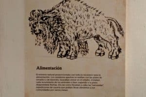 Museo Apache en Chihuahua ¡A que no lo sabías! | El Souvenir