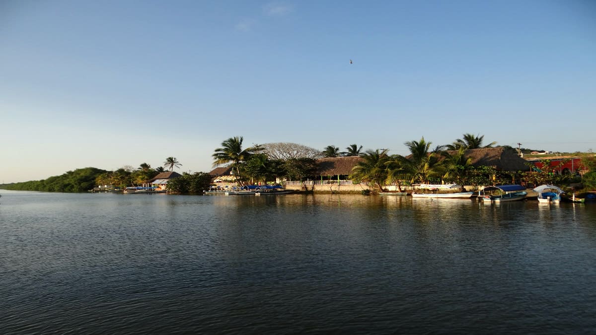 Portada. Laguna de Mandinga en Veracruz. Foto. Identidad Veracruz