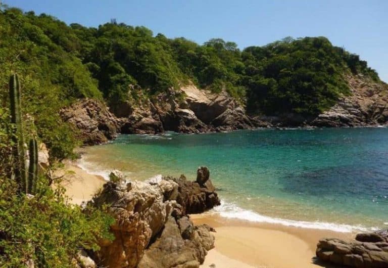 ¿Cómo llegar a Mazunte, Pueblo Mágico? El Souvenir