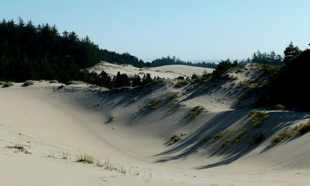 Dunas de arena en Oregón ¡siente la adrenalina! | El Souvenir