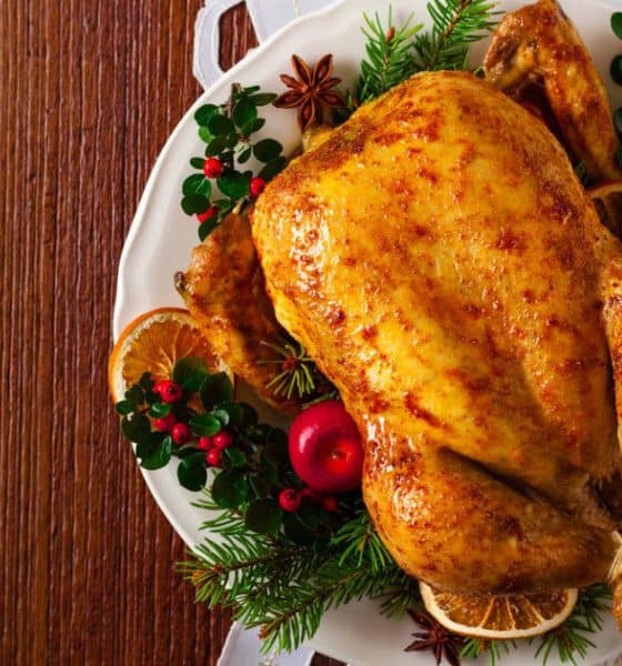 pavo navideño