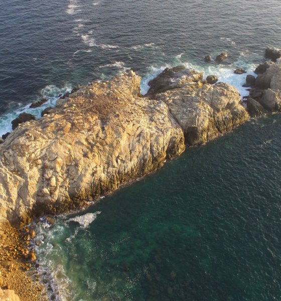 que hacer en mazunte