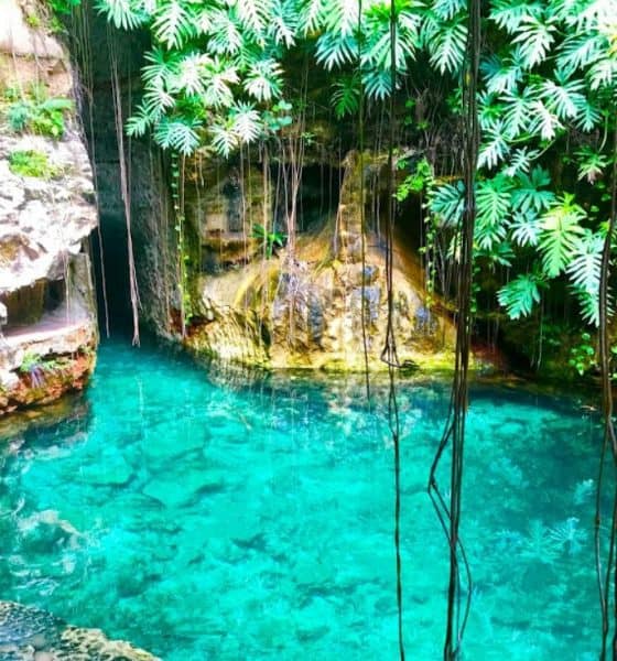 mucuyché yucatan