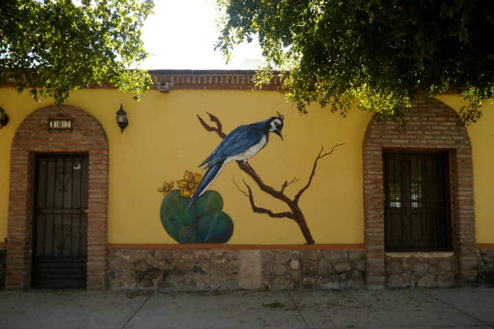 Cocorit Pueblo de las Aves Foto El Souvenir 124