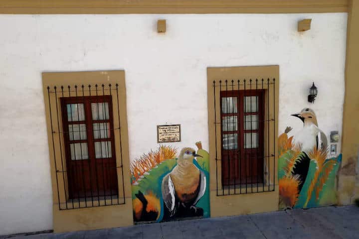 Cocorit Pueblo de las Aves Foto El Souvenir 16