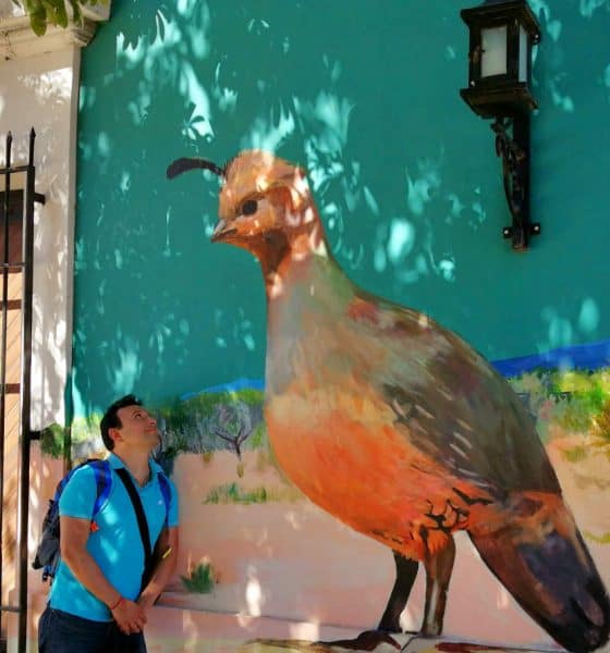 Cocorit Pueblo de las Aves Foto El Souvenir 3