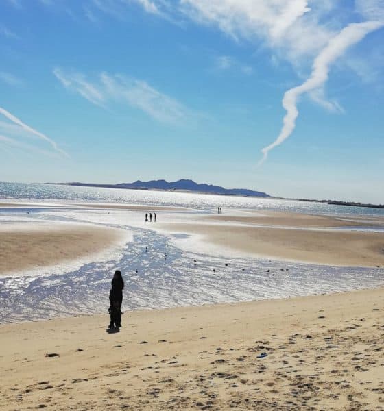 san felipe baja california