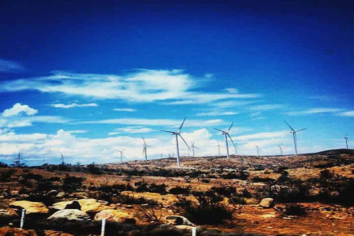 Parque eólico Energía Sierra Juárez. Foto: Tecate Pueblo Mágico