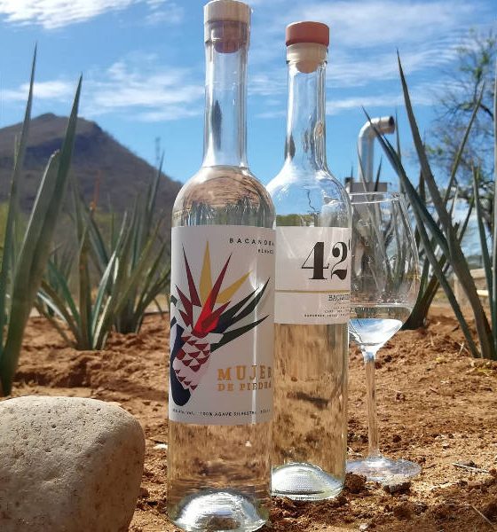 El Bacanora Sonora Foto El Souvenir 14