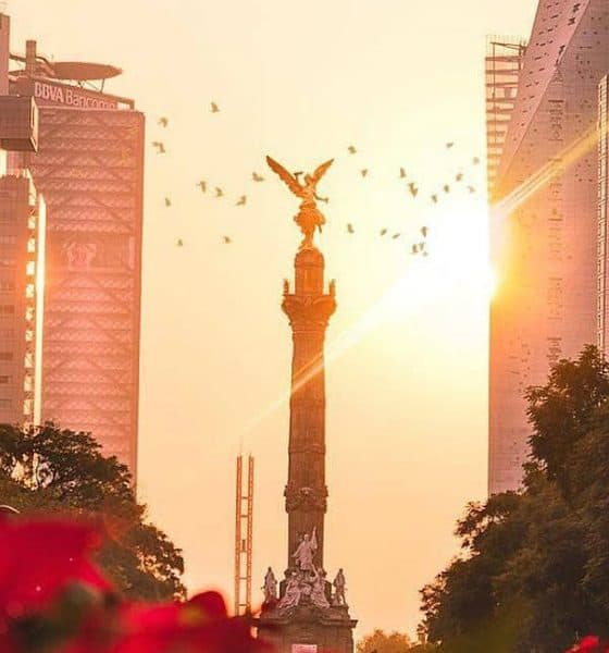 reforma cdmx