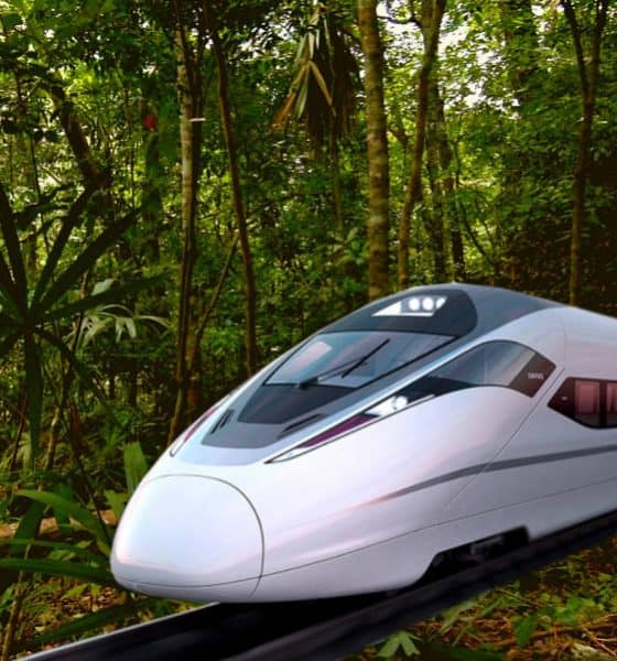 Portada Tren Maya Cámara de Diputados Foto El Souvenir