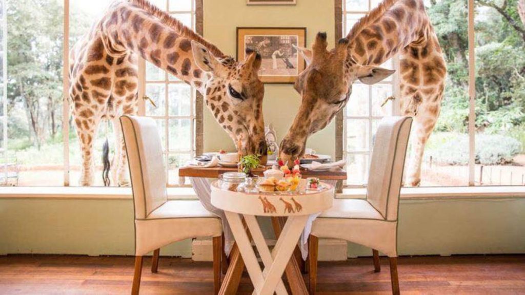 Resorts exóticos, Giraffe Manor, Foto. Globe Trotter Travels