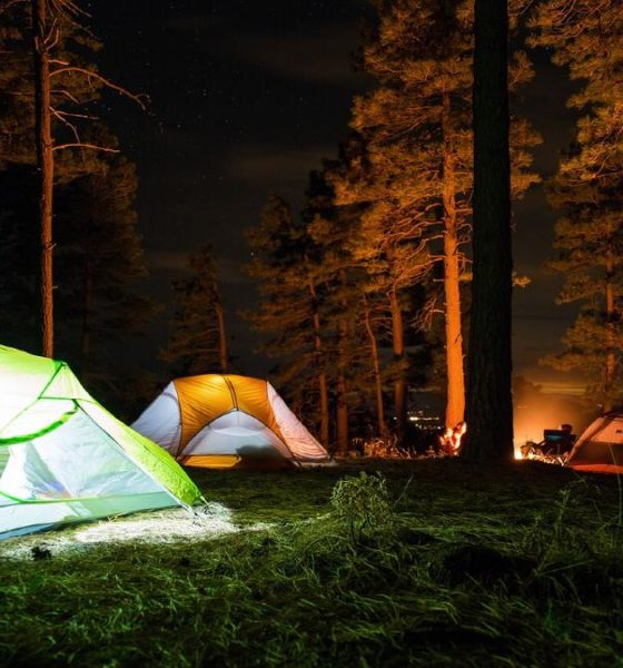 Consejos para acampar en el bosque. Foto Stock Snap.