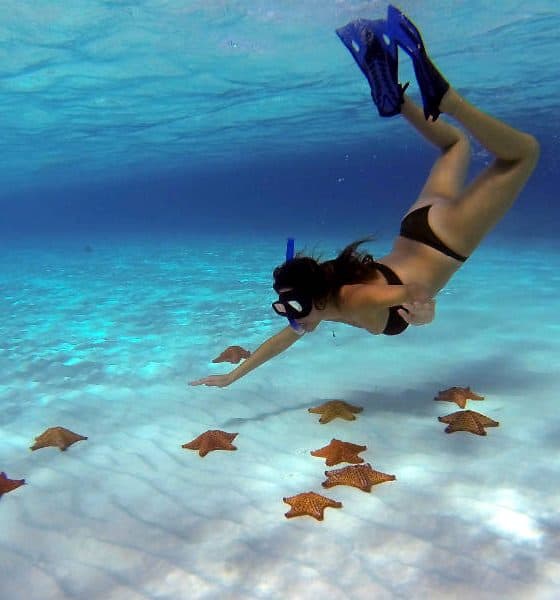Cozumel Foto turismo CZM 19