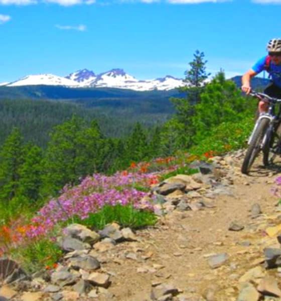 Mejores rutas para cicloturismo en México. Imagen: Casa y diseño