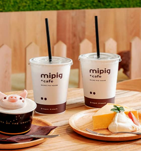 Cafetería Mipig en Japón. Imagen: Mipig cafe
