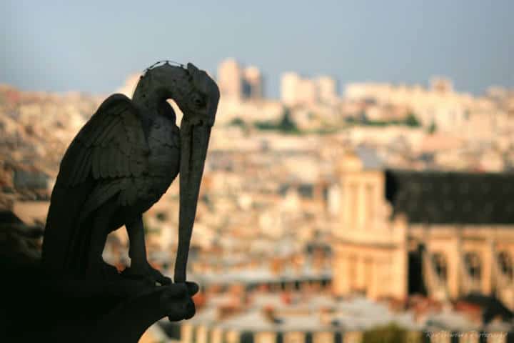  Notre Dame Francia Foto Ray Wewerka