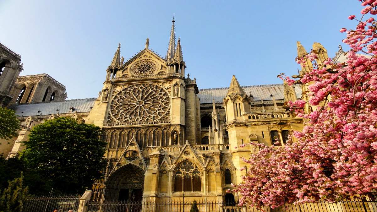 Reconstrucción de Notre Dame. Foto Ronile.