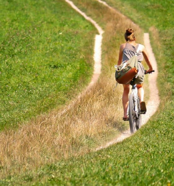 Rutas cicloturismo en México Foto. Pixabay