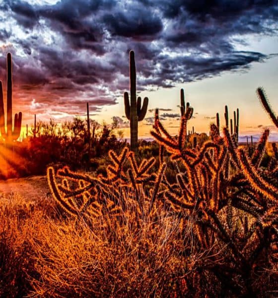 portada Arizona Foto Travel Update