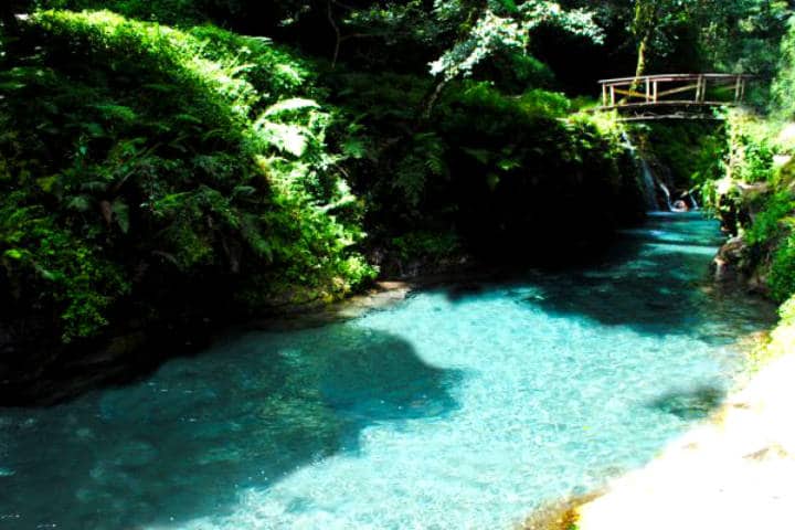 Biodiversidad de Veracruz