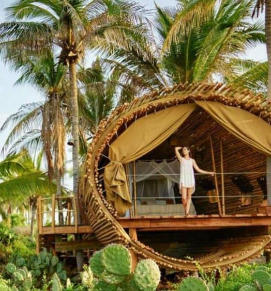Duerme ya en la casa del árbol Foto.Playa Viva