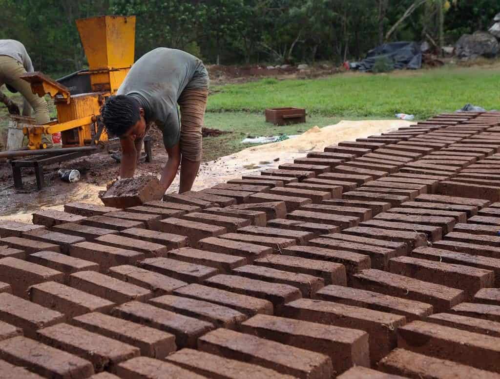 ¡Casas y edificios hechas de sargazo! Foto de Siglo Torr