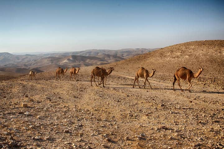 Desierto de Négev en Israel Foto PXhere 6