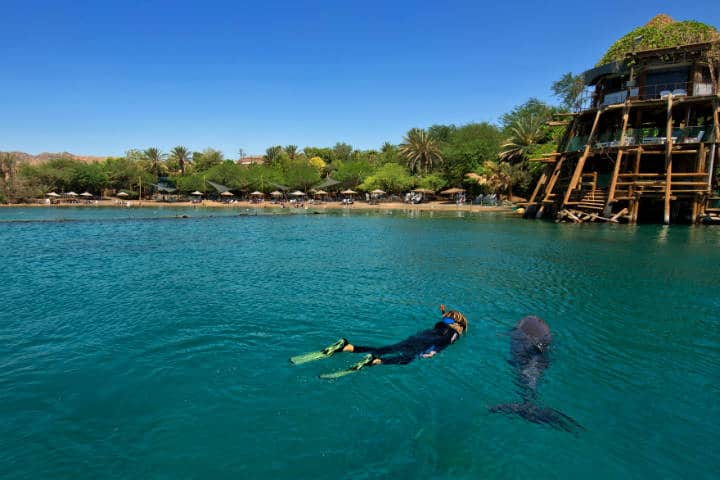 Dolphin Reef, una aventura con delfines Foto Israel Photo