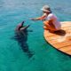 Dolphin-Reed-una-aventura-con-delfines-Foto-Tourist-Israel-1