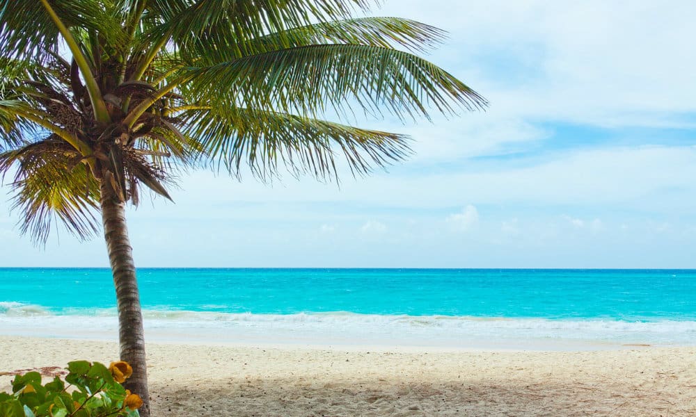 La Playa Secreta de Quintana Roo Foto.Pixabay