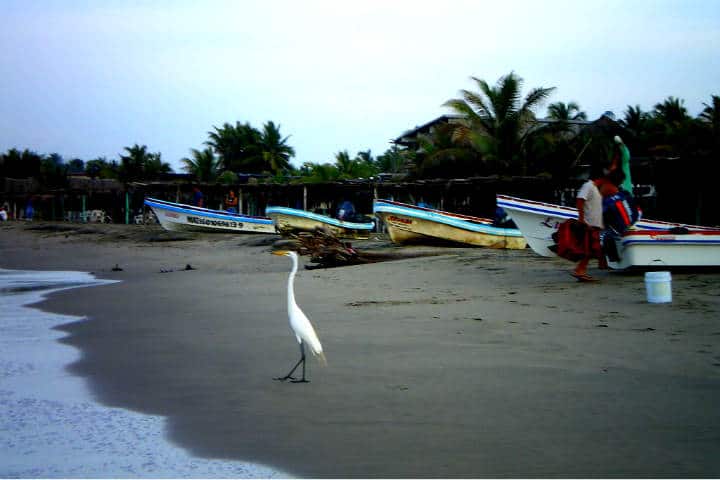Playa Azul Michoacán Foto Nawre