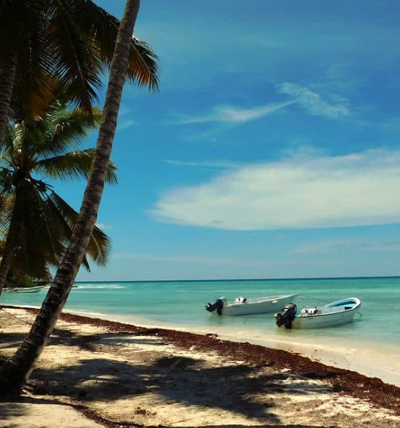 Saona, la isla Foto. Pixabay