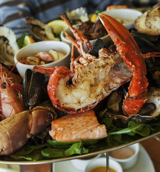 Dónde comer en Todos Santos Foto. Pixabay