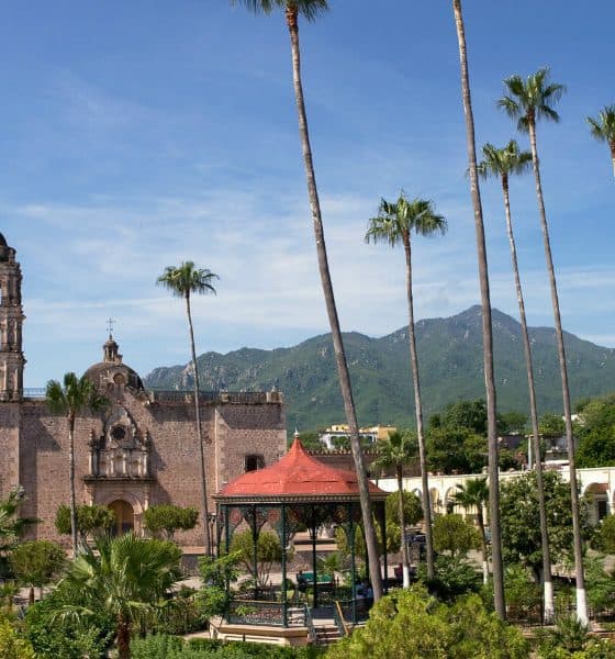Cómo llegar a Álamos Foto. Visit México